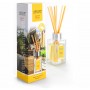 Сонячний Будинок (Sunny home) Home Perfume аромадифузор повітря Areon RS1, 85мл