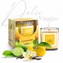 Сладкое путешествие (Dolce Viaggio)  scented candle ароматическая свеча Areon CR04, 120гр