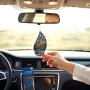 Верано Азул - Areon Verano Azul преміальний підвісний ароматизатор для салону авто з нотами лимона, бергамоту та шкіри, DP01